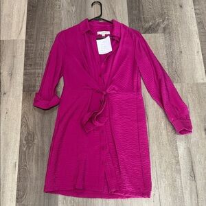 ❄️☀️LOFT Fuchsia Long Sleeve Dress